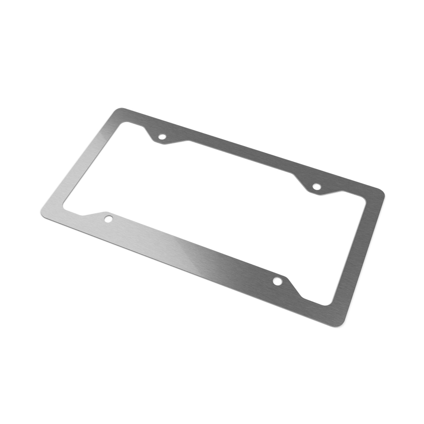 Metal License Plate Frame — 'Bare Witness' Stainless Steel Decorative Plate Frame